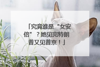 究竟谁是“女安倍”？她见完特朗普又见普京！