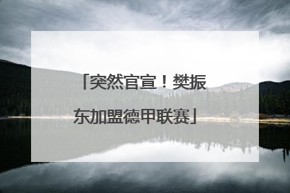 突然官宣！樊振东加盟德甲联赛
