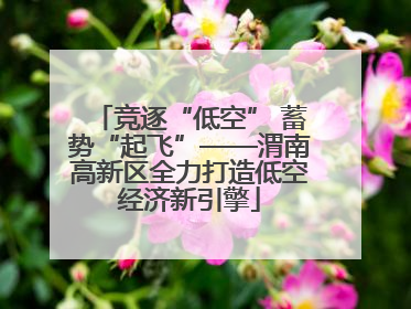 竞逐“低空” 蓄势“起飞”——渭南高新区全力打造低空经济新引擎