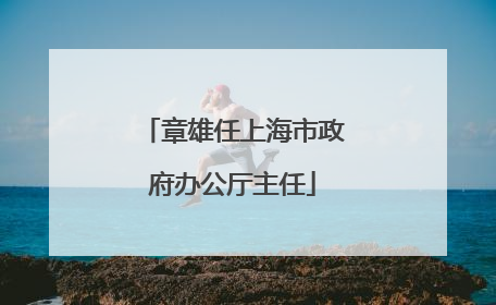 章雄任上海市政府办公厅主任