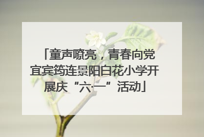 童声嘹亮，青春向党 宜宾筠连景阳白花小学开展庆“六·一”活动