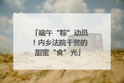 端午“粽”动员！内乡法院干警的甜蜜“食”光