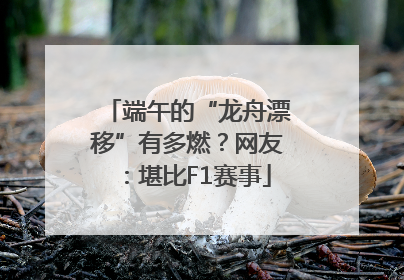 端午的“龙舟漂移”有多燃？网友：堪比F1赛事