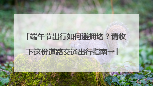 端午节出行如何避拥堵？请收下这份道路交通出行指南→