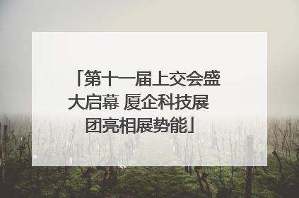 第十一届上交会盛大启幕 厦企科技展团亮相展势能