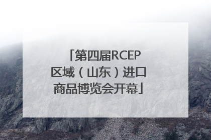 第四届RCEP区域（山东）进口商品博览会开幕