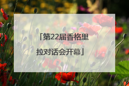 第22届香格里拉对话会开幕