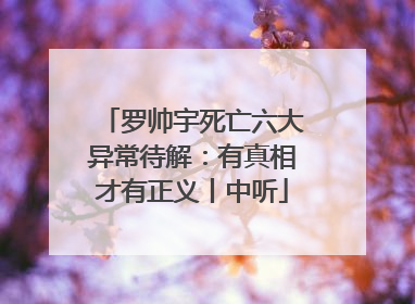 罗帅宇死亡六大异常待解:有真相才有正义丨中听