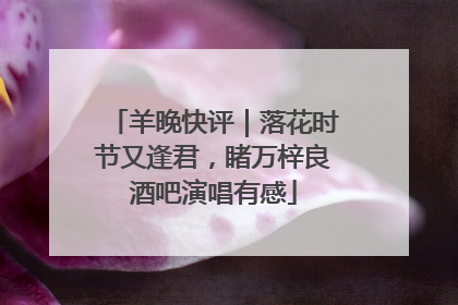 羊晚快评｜落花时节又逢君，睹万梓良酒吧演唱有感
