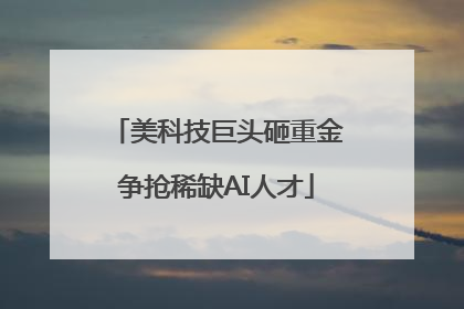 美科技巨头砸重金争抢稀缺AI人才