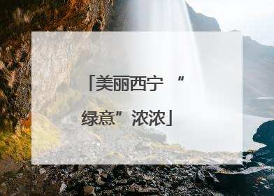 美丽西宁 “绿意”浓浓
