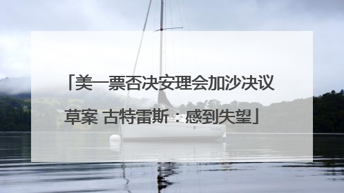 美一票否决安理会加沙决议草案 古特雷斯：感到失望