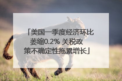 美国一季度经济环比萎缩0.2% 关税政策不确定性拖累增长