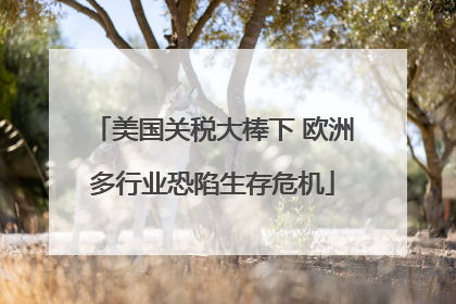 美国关税大棒下 欧洲多行业恐陷生存危机