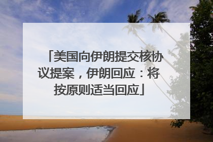 美国向伊朗提交核协议提案，伊朗回应：将按原则适当回应