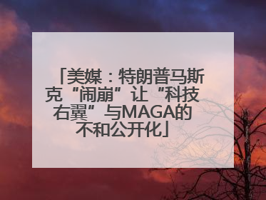 美媒：特朗普马斯克“闹崩”让“科技右翼”与MAGA的不和公开化