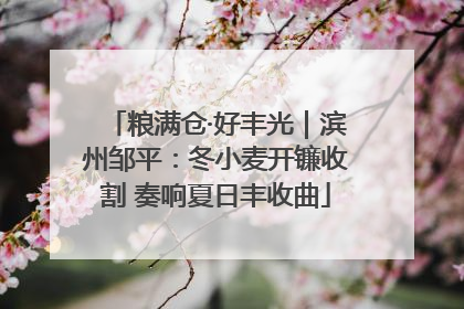 粮满仓·好丰光｜滨州邹平：冬小麦开镰收割 奏响夏日丰收曲