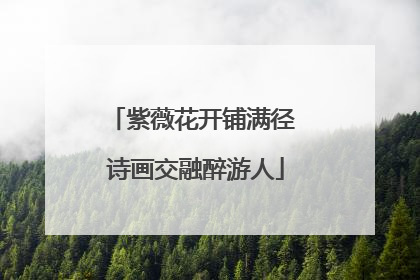 紫薇花开铺满径 诗画交融醉游人