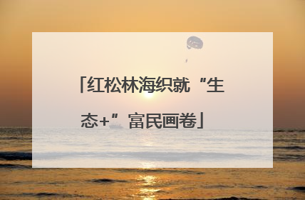红松林海织就“生态+”富民画卷