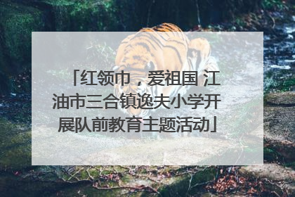 红领巾，爱祖国 江油市三合镇逸夫小学开展队前教育主题活动