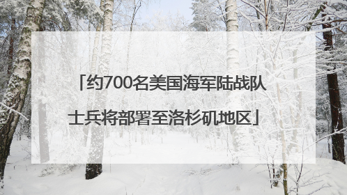 约700名美国海军陆战队士兵将部署至洛杉矶地区