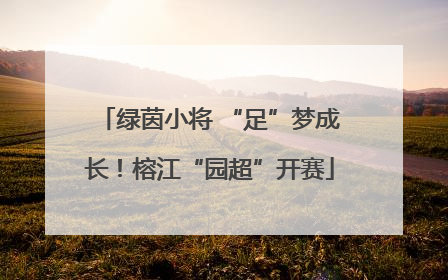 绿茵小将 “足”梦成长！榕江“园超”开赛