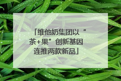 维他奶集团以“茶+果”创新基因连推两款新品