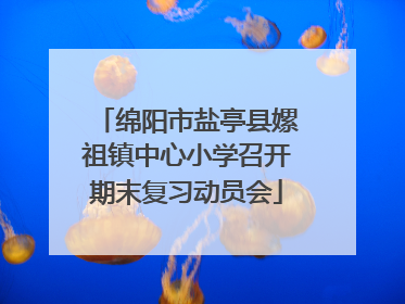 绵阳市盐亭县嫘祖镇中心小学召开期末复习动员会