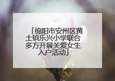 绵阳市安州区黄土镇乐兴小学联合多方开展关爱女生入户活动
