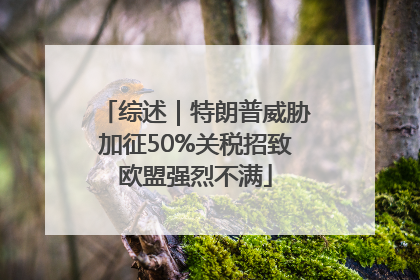 综述｜特朗普威胁加征50%关税招致欧盟强烈不满