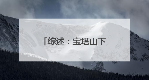 综述：宝塔山下的“草原风情”