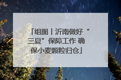 组图丨沂南做好“三夏”保障工作 确保小麦颗粒归仓