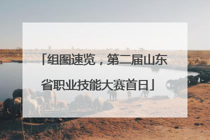 组图速览，第二届山东省职业技能大赛首日