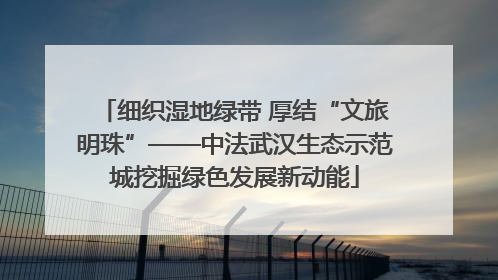 细织湿地绿带 厚结“文旅明珠”——中法武汉生态示范城挖掘绿色发展新动能