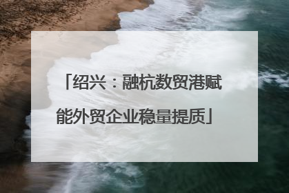 绍兴：融杭数贸港赋能外贸企业稳量提质