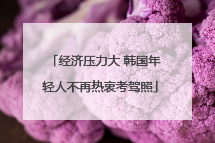 经济压力大 韩国年轻人不再热衷考驾照