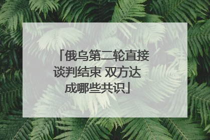 俄乌第二轮直接谈判结束 双方达成哪些共识