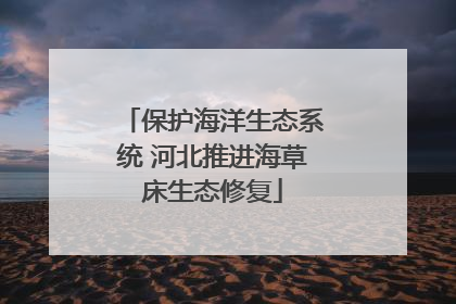 保护海洋生态系统 河北推进海草床生态修复