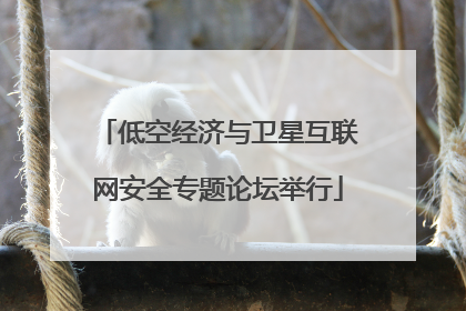 低空经济与卫星互联网安全专题论坛举行