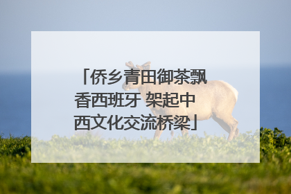 侨乡青田御茶飘香西班牙 架起中西文化交流桥梁