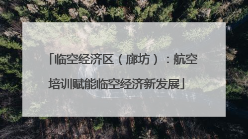 临空经济区（廊坊）：航空培训赋能临空经济新发展