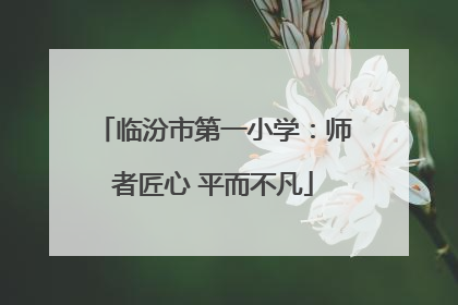 临汾市第一小学：师者匠心 平而不凡