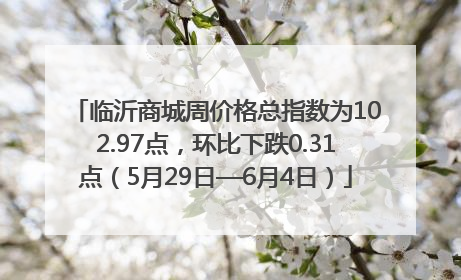 临沂商城周价格总指数为102.97点，环比下跌0.31点（5月29日—6月4日）