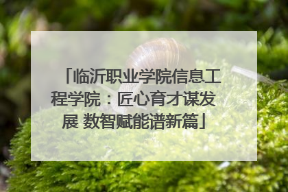 临沂职业学院信息工程学院：匠心育才谋发展 数智赋能谱新篇