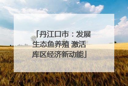 丹江口市：发展生态鱼养殖 激活库区经济新动能