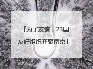 为了友谊，23国友好组织齐聚南京