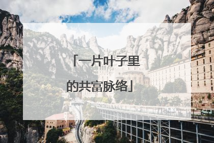 一片叶子里的共富脉络