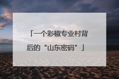 一个彩椒专业村背后的“山东密码”