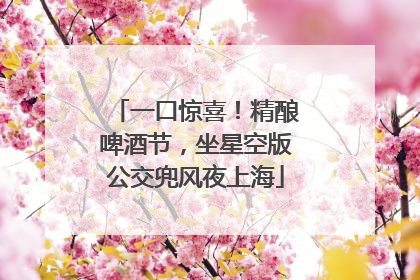 一口惊喜！精酿啤酒节，坐星空版公交兜风夜上海