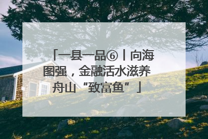 一县一品⑥丨向海图强，金融活水滋养舟山“致富鱼”
